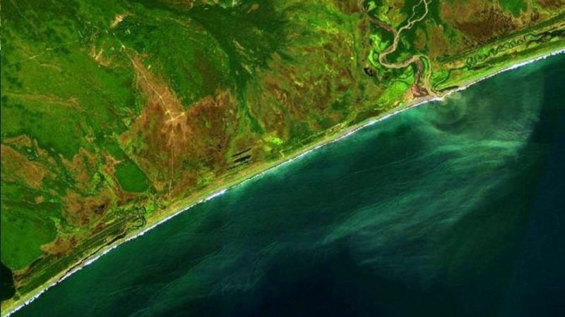Russian rocket fuel leak most likely cause of underwater marine animal deaths in Kamchatka peninsula, Russia